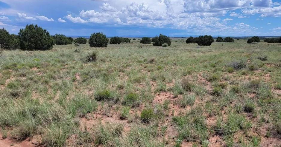 South big lot, Hill - 3992 Sorrel Rd, Snowflake, AZ 85937, USA