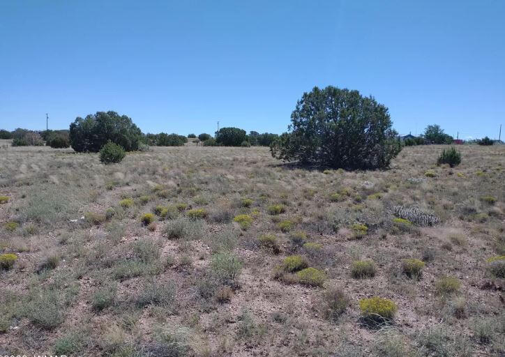 South big lot, Hill - 3992 Sorrel Rd, Snowflake, AZ 85937, USA