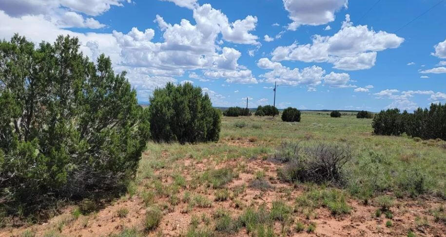 South big lot, Hill - 3992 Sorrel Rd, Snowflake, AZ 85937, USA