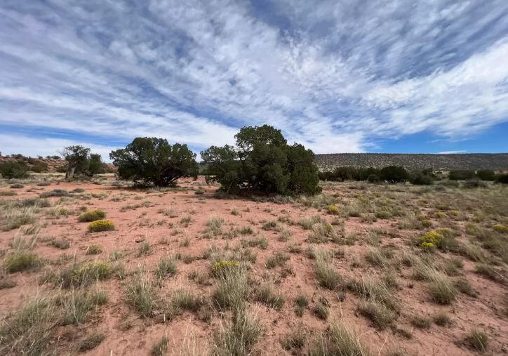 South big lot, Hill - 3992 Sorrel Rd, Snowflake, AZ 85937, USA