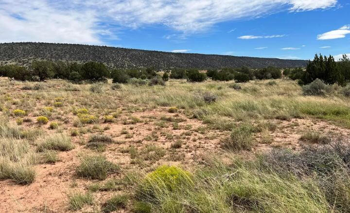 South big lot, Hill - 3992 Sorrel Rd, Snowflake, AZ 85937, USA