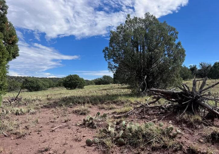 South big lot, Hill - 3992 Sorrel Rd, Snowflake, AZ 85937, USA